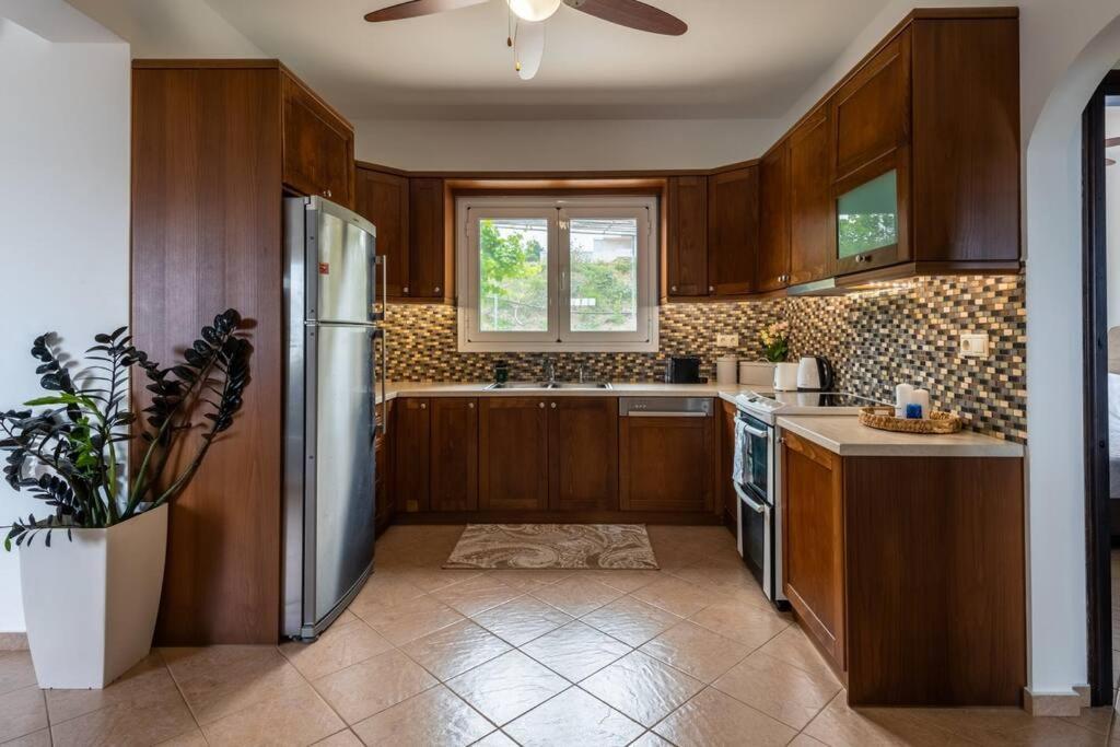 Blue Harmony Villa Dhramia Екстер'єр фото